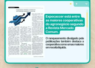 <strong>Expocaccer está entre as maiores cooperativas do agronegócio segundo a Forbes e Revista Mercado Comum</strong>