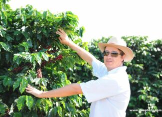 Cooperado da Expocaccer, Marcelo Montanari, é destaque pelas práticas regenerativas realizadas na cafeicultura