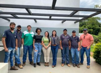 Novo grupo de cafeicultores do Cerrado Mineiro conquista o selo regenerativo em suas propriedades