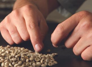 Cooperativa dos Cafeicultores do Cerrado anuncia recebimento de amostras de cafés especiais para concurso de qualidade