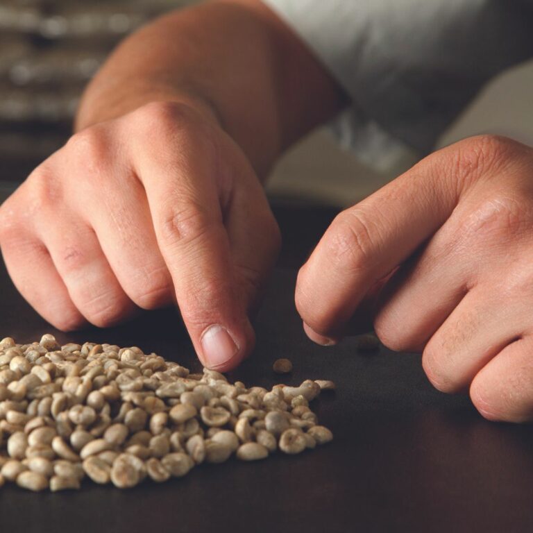 Cooperativa dos Cafeicultores do Cerrado anuncia recebimento de amostras de cafés especiais para concurso de qualidade