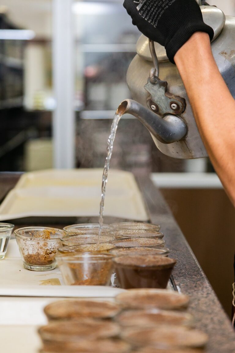 Mapeamento de qualidade de café auxilia cafeicultores na identificação de cafés especiais no Cerrado Mineiro